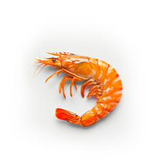 Wall Mural - Red cooked prawn or tiger shrimp isolated on white background