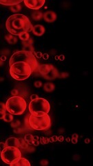Wall Mural - vertical red bubbles on black background 4k loop features red bubbles popping onto screen in a black