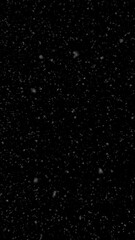 Wall Mural - vertical snow gently blowing on a black background 4k loop features snow blowing with small particle