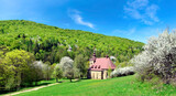 Fototapeta  - A  stone church in the picturesque landscape in Huta Polanska of the Low Beskids (Beskid Niski) in spring sunny day, Poland