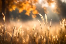 Background, Header Or Banner - Grass In The Autumn Morning Light- Bokeh, Much Copyspace