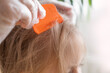 Close-up child's head with female hands searching for lice and nits in hair, combing through with orange comb for removal, Medical Examination