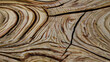 © Stefan - Generative KI Holz Struktur Maserung