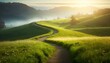 Scenic winding path through a field of green grass in the morning Scenic winding path through a field of green grass in the morning Scenic winding path through a field of green grass in the morning 