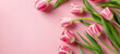 Pink tulips on pink background. Top view. Copy space for text.