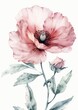 Watercolor Flower on White: Vintage Pink Style Generative AI