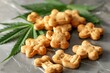 CBD and medical marijuana treats for pets hemp leaf close up Bone shaped cookies for dogs