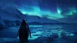 penguin in Antarctica looking at southern lights aurora Australis. 