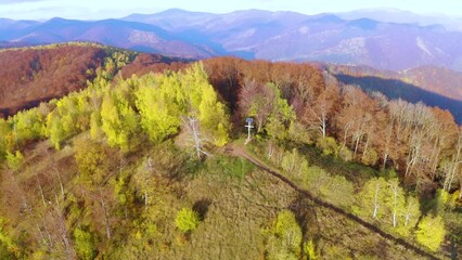 Wall Mural - Bird's eye view of the Carpathians in autumn, a drone flies over Ukraine. beech, birch and conifer forests of fantastic color, dirt roads for travel