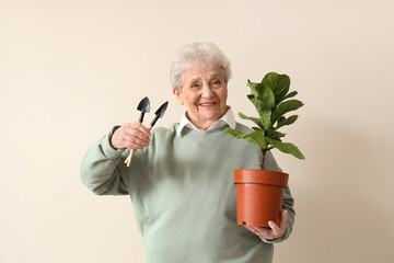 Canvas Print - Senior gardener with plant and tools on light background