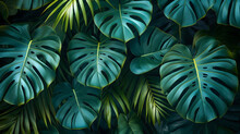 Große Tropische Blätter, Massive Riesige Blätter, Tropische Pflanzen, Hintergrund Und Textfreiraum