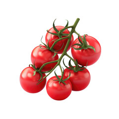 Wall Mural - Five tomatoes on vine against transparent Background