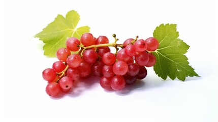 Wall Mural - red grape white background 8k photography