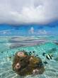Seascape blue sky with cloud and tropical fish with sea anemones underwater, split view over and under water surface, natural scene, Pacific ocean, French Polynesia