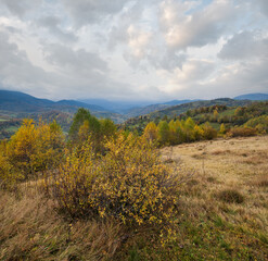 Canvas Print - cloudy and foggy day autumn mountains scene. peaceful picturesque traveling, seasonal, nature and co