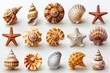 An icon set showing shells, snails, mollusks, starfish, and sea horses in 3D