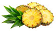Pineapple slices with leaves isolated on Transparent background.