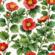 Background with Potentilla anserina with red flowers. Watercolor.