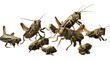 A group of insects elegantly soaring through the air in harmonious flight