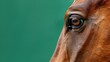 Close-up of a brown horse's eye and part its face against green background