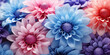 Floral background, bright flowers close-up