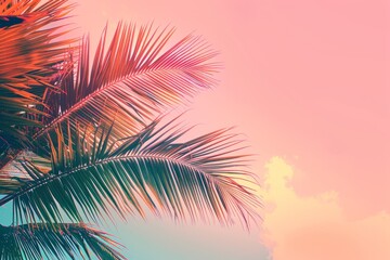 Wall Mural - beautiful palm tree against a sunset sky background a vintage tropical beach banner with space for c
