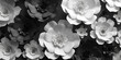 Flowers in the garden, black and white flowers, nature, flowering, beautiful Flower blossom decoration seamless pattern flowers background.AI Generative
