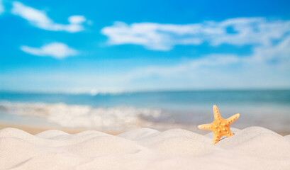 Wall Mural - View of a beach with starfish on the sand under the hot summer sun, selective focus. Concept of sandy beach holiday, background with copy space for text