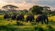 Herd of Majestic Elephants Roaming the Serene African Savanna in Tarangire National Park