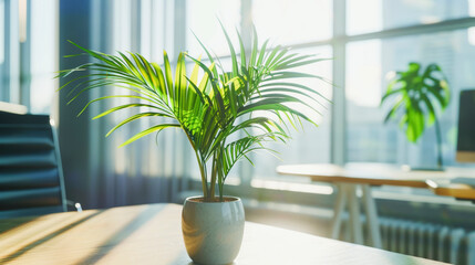 Tropical green palm leaf planted in a vase, on table ,modern office ,Natural light, near the window