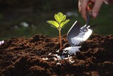 Fototapeta Mapy - Woman fertilizing soil with growing young sprout outdoors, selective focus