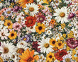 Seamless realistic spring floral pattern, textile fabric design. Generative ai