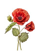 Poppy flower isolated on white background. Remembrance poppy - poppy appeal. Decorative flower for Remembrance Day, AI generative
