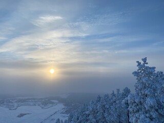 Snow covered trees winter snow tree landscape mountain forest cold sky nature white frost ice trees sun blue. Snow covered trees mountains frozen season beautiful snowy clouds view scene outdoor.