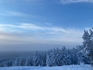 Snow covered trees winter snow forest tree landscape cold mountain sky nature frost white trees ice snowy frozen. Snow covered trees scene blue season beautiful outdoor xmas fir ski road.