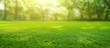 Beautiful summer landscape with freshly cut grass in the morning light and a light fog provides a panoramic spring background. Made with generative AI technology.