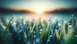 © FantasyLand86 - A close-up image capturing the fresh dew resting on blades of grass at the break of dawn.