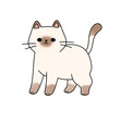 A cartoon cat with a funny face and a cute expression. The cat is standing on a white background