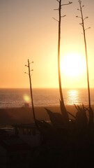 Canvas Print - sunset on the beach