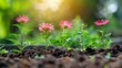 A vibrant management strategy blossoming like a garden