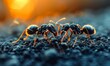 Fiery Ants Foraging at Twilight. Generative ai