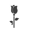 Vector illustration of single rose