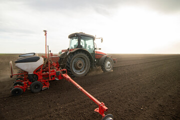 Wall Mural - Sowing crops at agricultural fields in spring