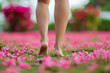 Barefoot walk amidst a blossom-strewn path, capturing a serene and grounding moment in nature. Close up female crossed legs walking on the grass.