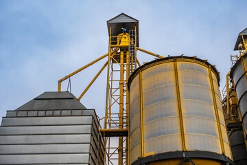 Wall Mural - silos on agro-industrial complex with seed cleaning and drying line for grain storage