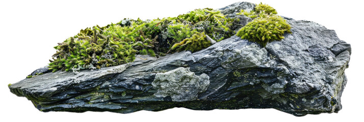 Textured Rock Stone with Green Moss