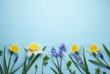 Beautiful Bouquet Of Fresh Daffodils And Small Flowers On A Blue Background. Simple Holiday Spring Greeting Card, Invitation Card. Top View, Flat Lay. Space For Text. Floral Banner.