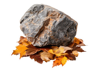 Wall Mural - Rock Stone on Autumn Leaves