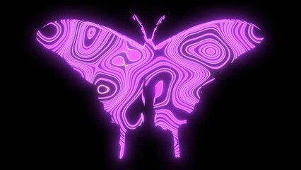 Wall Mural - 4k video animation of beautiful pink texture or pattern formation on the butterfly body shape, isola
