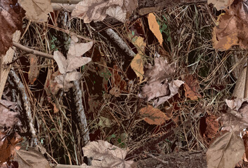 close up of leaves hunting camo